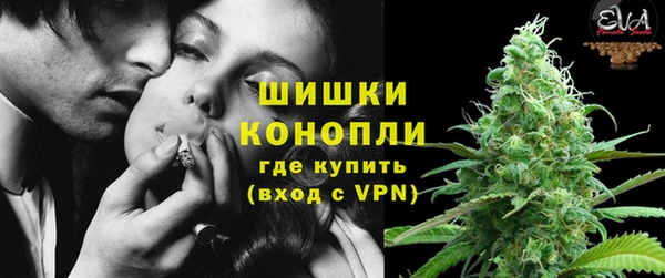 PSILOCYBIN Белоозёрский